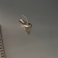 Fisherbrand Isotemp Refrigerator image 3